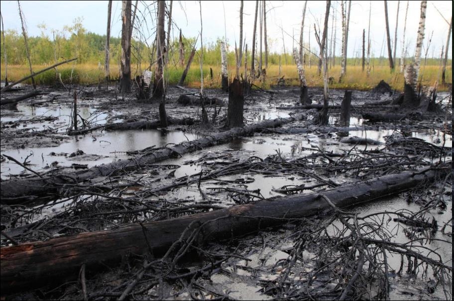 В разливе нефтепродуктов в Сургутском районе виноваты злоумышленники